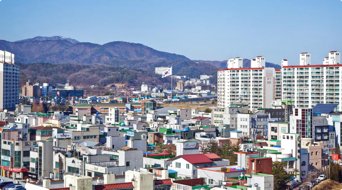 Quali sono le scelte di veicoli più popolari a Cheonan?